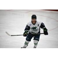North Iowa Bulls defenseman Sean Vlasich