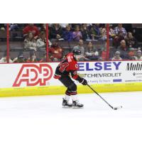 Forward Jimmy Lodge with the Cincinnati Cyclones
