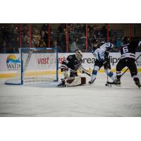 Rapid City Rush goaltender David Tendeck