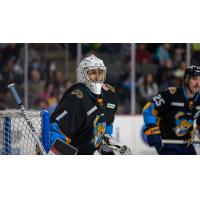 Toledo Walleye goaltender Billy Christopoulos