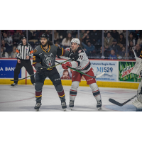 Grand Rapids Griffins battle the Chicago Wolves