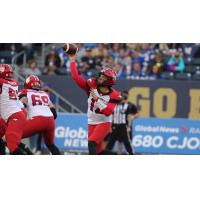 Calgary Stampeders quarterback Jake Maier