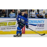 Jacksonville Icemen forward Craig Martin