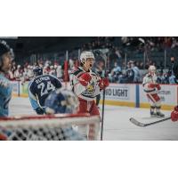 Grand Rapids Griffins left wing Dennis Yan reacts after a goal against the Milwaukee Admirals