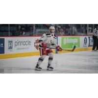 Grand Rapids Griffins left wing Max Humitz