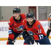 Springfield Thunderbirds left wing Nathan Walker (right)