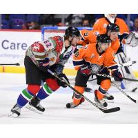 Reading Royals left wing Grant Cooper vs. the Worcester Railers