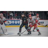 Grand Rapids Griffins defenseman Wyatt Newpower (right) vs. the Cleveland Monsters