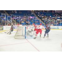 Allen Americans battle the Tulsa Oilers