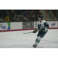 North Iowa Bulls defenseman Joey Potter