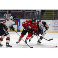 Kelowna Rockets take on the Portland Winterhawks