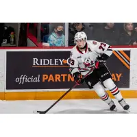 Niagara IceDogs centre Jake Uberti