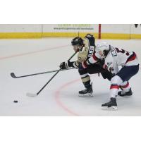 Wheeling Nailers forward Justin Almeida (left) vs. the Kalamazoo Wings