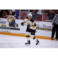 Defenceman Neithan Salame with the Brandon Wheat Kings