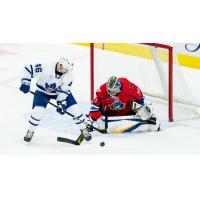 Springfield Thunderbirds goaltender Joel Hofer vs. the Toronto Marlies