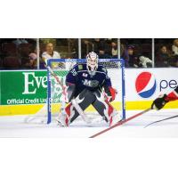 Maine Mariners goaltenders Jeremy Brodeur