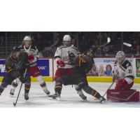 Grand Rapids Griffins battle the Chicago Wolves