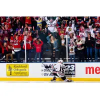Rockford IceHogs celebrate in front of the home fans