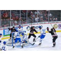 Rapid City Rush react after a goal against the Wichita Thunder