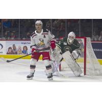 Grand Rapids Griffins center Kyle Criscuolo vs. the Iowa Wild