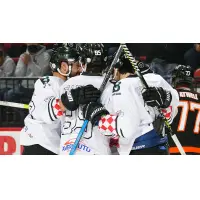 Binghamton Black Bears celebrate a goal against the Danbury Hat Tricks