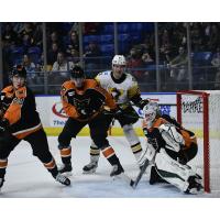 Lehigh Valley Phantoms goaltender Garrett Metcalf