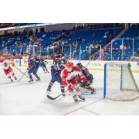 Antoine Bibeau of the Allen Americans vs. the Tulsa Oilers