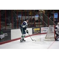 North Iowa Bulls defenseman Greg Japchen