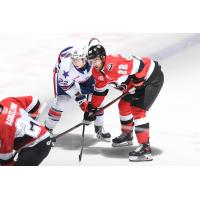 Belleville Senators right wing Logan Shaw faces off against the Rochester Americans
