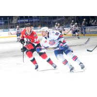 Belleville Senators left wing Roby Jarventie (left) vs. the Rochester Americans