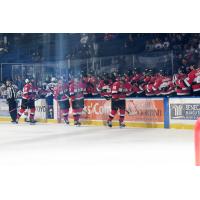 Belleville Senators exchange congratulations along with the bench vs. the Rochester Americans