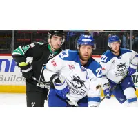 Binghamton Black Bears take on the Watertown Wolves