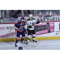 Wheeling Nailers forward Justin Almeida (right) vs. the Orlando Solar Bears