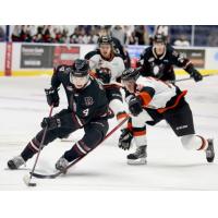 Red Deer Rebels defenceman Christoffer Sedoff (left) vs. the Medicine Hat Tigers