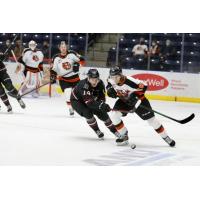 Medicine Hat Tigers right wing Corson Hopwo (right) eyes the puck vs. the Red Deer Rebels