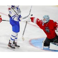 Allen Americans goaltender Antoine Bibeau