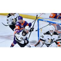 Orlando Solar Bears forward Hunter Fejes vs. the Wheeling Nailers