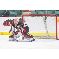 Prince George Cougars goaltender Tyler Brennan