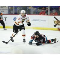 Vancouver Giants defenceman Tanner Brown