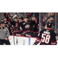 Portland Winterhawks celebrate along the bench
