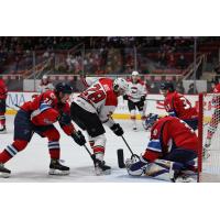 Springfield Thunderbirds goaltender Joel Hofer stops the Charlotte Checkers