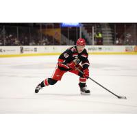 Grand Rapids Griffins left wing Jonatan Berggren