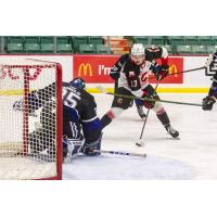 Prince George Cougars centre Koehn Ziemmer (right) vs. the Victoria Royals