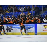 Lehigh Valley Phantoms forward Wade Allison celebrates with the bench vs. the Wilkes-Barre/Scranton Penguins