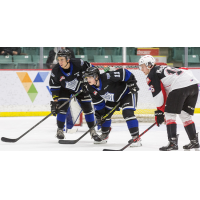 Victoria Royals right wing Matthew Hodson (center) vs. the Prince George Cougars