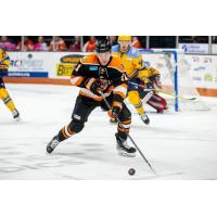 Forward Nick Jermain with the Fort Wayne Komets