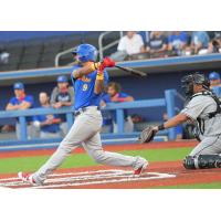 High Point Rockers at the plate