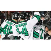 Binghamton Black Bears celebrate a goal