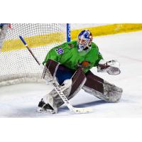 Utah Grizzlies goaltender Trent Miner