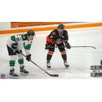 Danbury Hat Tricks forward Tom Mele (right) vs. the Binghamton Black Bears